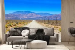 Fototapeta: A brud drogi w karoo działa obok ogrodzenia gospodarskich.