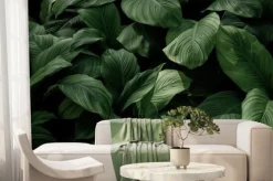 Fototapeta: Abstract green leaf texture, nature background, tropical leaf