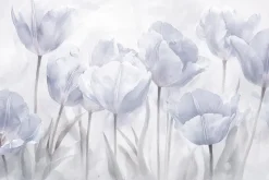 Fototapeta: Abstrakcja łąki z tulipanami