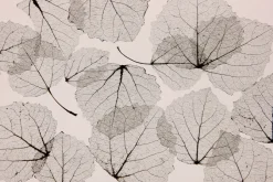 Fototapeta: Abstrakcja odbitych liści na ścianie