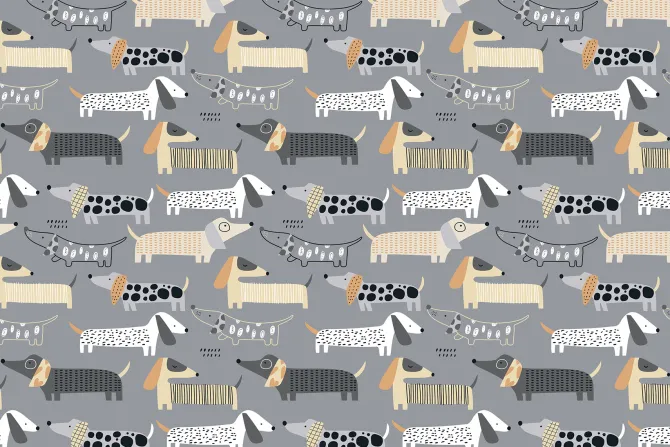 Fototapeta: Abstrakcyjne malowane psy jamniki