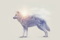 Fototapeta: Abstrakcyjny biały wilk z drzewami