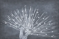 Fototapeta: Abstrakcyjny rysunek pawia