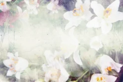 Fototapeta: Abstrakcyjny wzór z kwiatami