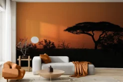 Fototapeta: Afrykańska roślinność o zachodzie