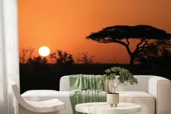 Fototapeta: Afrykańska roślinność o zachodzie