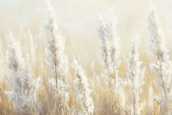 Fototapeta: Akwarela łąki z suchymi trawami