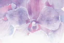 Fototapeta: Akwarela storczyka w kolorach różu i fioletu