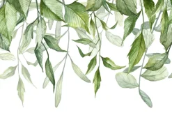 Fototapeta: Akwarelowe zielone liście na białym tle