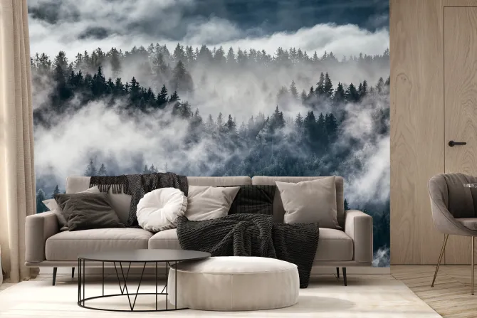 Fototapeta: Alpejski las jodłowy we mgle