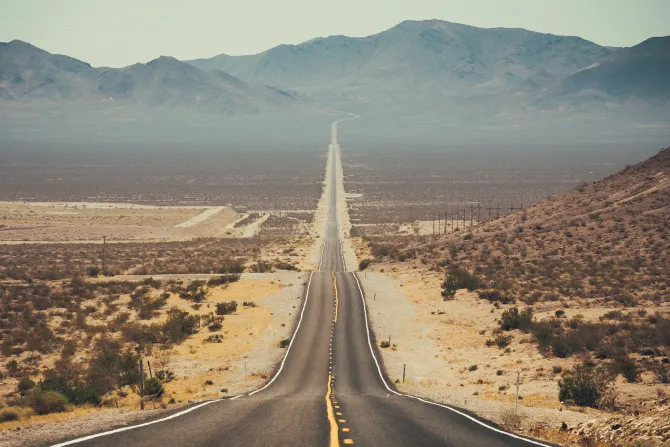 Fototapeta: Asfaltowa droga wśród pustynnej roślinności