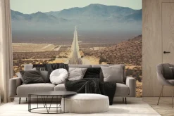 Fototapeta: Asfaltowa droga wśród pustynnej roślinności