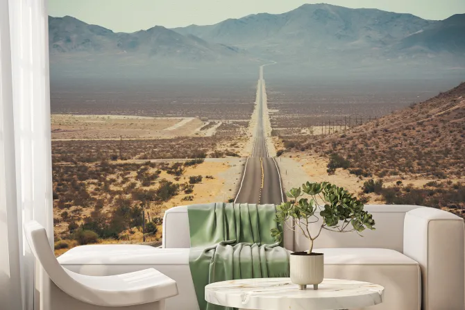 Fototapeta: Asfaltowa droga wśród pustynnej roślinności