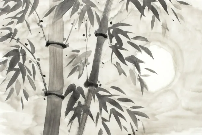 Fototapeta: Bambus gałązki botaniczny wzór