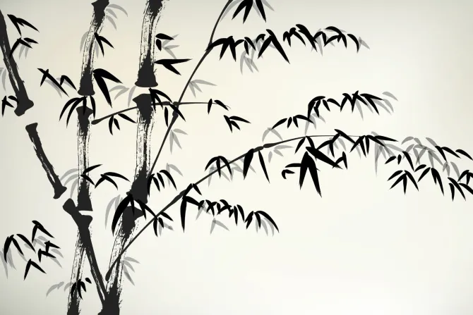 Fototapeta: Bambus pędy na jasnym tle