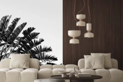 Fototapeta: Beautiful banana tree. natural minimal background in black and