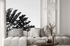 Fototapeta: Beautiful banana tree. natural minimal background in black and