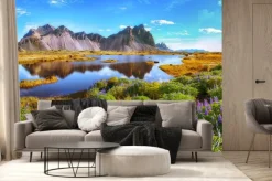 Fototapeta: Beautiful sunny day and lupine flowers on stokksnes cape in iceland.