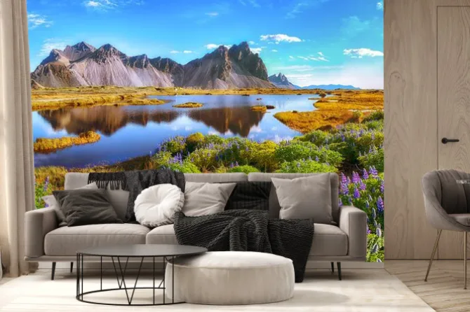 Fototapeta: Beautiful sunny day and lupine flowers on stokksnes cape in iceland.