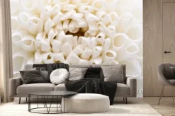 Fototapeta: Biała dalia makro