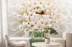 Fototapeta: Biała dalia makro