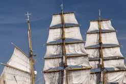 Fototapeta: Białe żagle statków na tle nieba