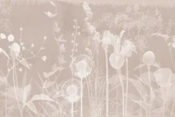 Fototapeta: Białe dmuchawce i kwiaty polne na beżowym tle botaniczny delikatny