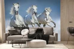 Fototapeta: Białe konie podczas galopu w śniegu