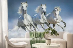 Fototapeta: Białe konie podczas galopu w śniegu