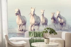 Fototapeta: Białe konie w galopie na morzu