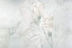 Fototapeta: Białe kwiaty róże na betonowym tle