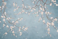 Fototapeta: Białe kwiaty wiśni na gałęziach