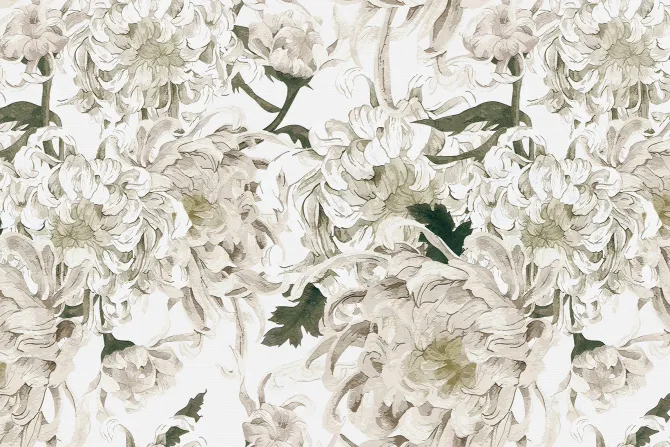 Fototapeta: Białe kwitnące kwiaty piwonii