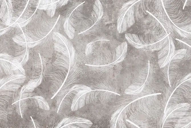 Fototapeta: Białe pióra na szarym betonowym tle styl loft