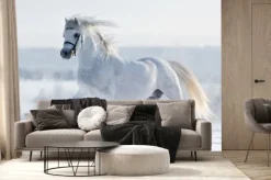 Fototapeta: Biały koń galopuje w polu w zimie