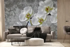 Fototapeta: Biały kwiat storczyk na betonie