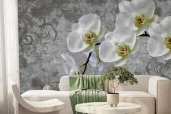 Fototapeta: Biały kwiat storczyk na betonie