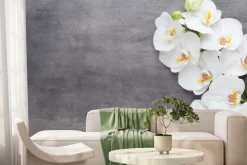 Fototapeta: Biały storczyk na szarym betonie