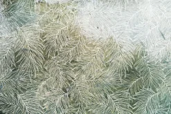 Fototapeta: Biały szkic liści na zielonym tle