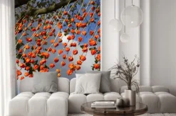 Fototapeta: Bliska streszczenie physalis w little india diwali festiwalu