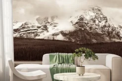 Fototapeta: Bow lake