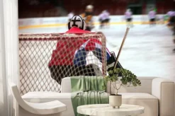 Fototapeta: Bramkarz hokejowy