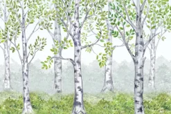 Fototapeta: Brzozowy zagajnik na bajkowej ilustracji