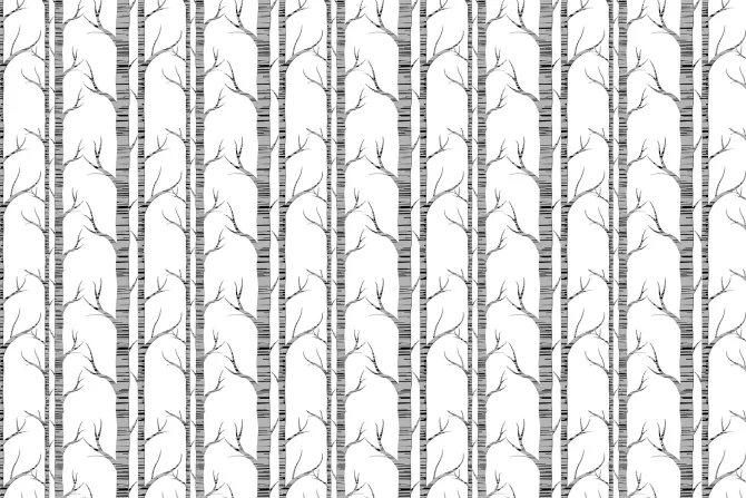 Fototapeta: Brzozy minimalistyczny deseń inspirowany naturą