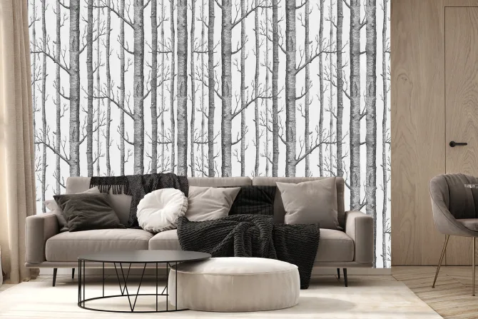 Fototapeta: Brzozy w minimalistycznym krajobrazie