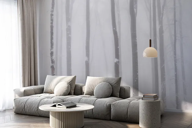 Fototapeta: Brzozy we mgle zimowy krajobraz