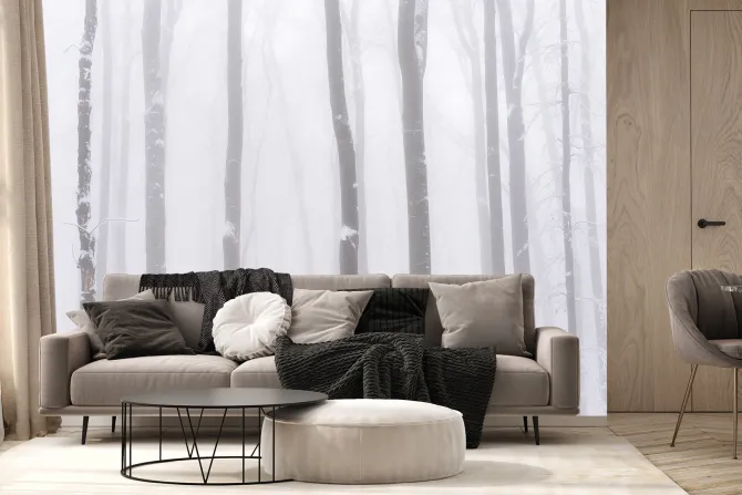 Fototapeta: Brzozy we mgle zimowy krajobraz