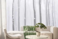 Fototapeta: Brzozy we mgle zimowy krajobraz