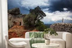 Fototapeta: Burza, great zimbabwe