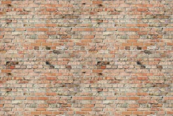 Fototapeta: Ceglana ściana efekt 3d